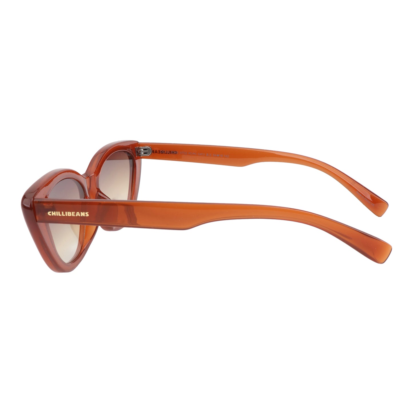 SUNGLASSES-OCCL5380