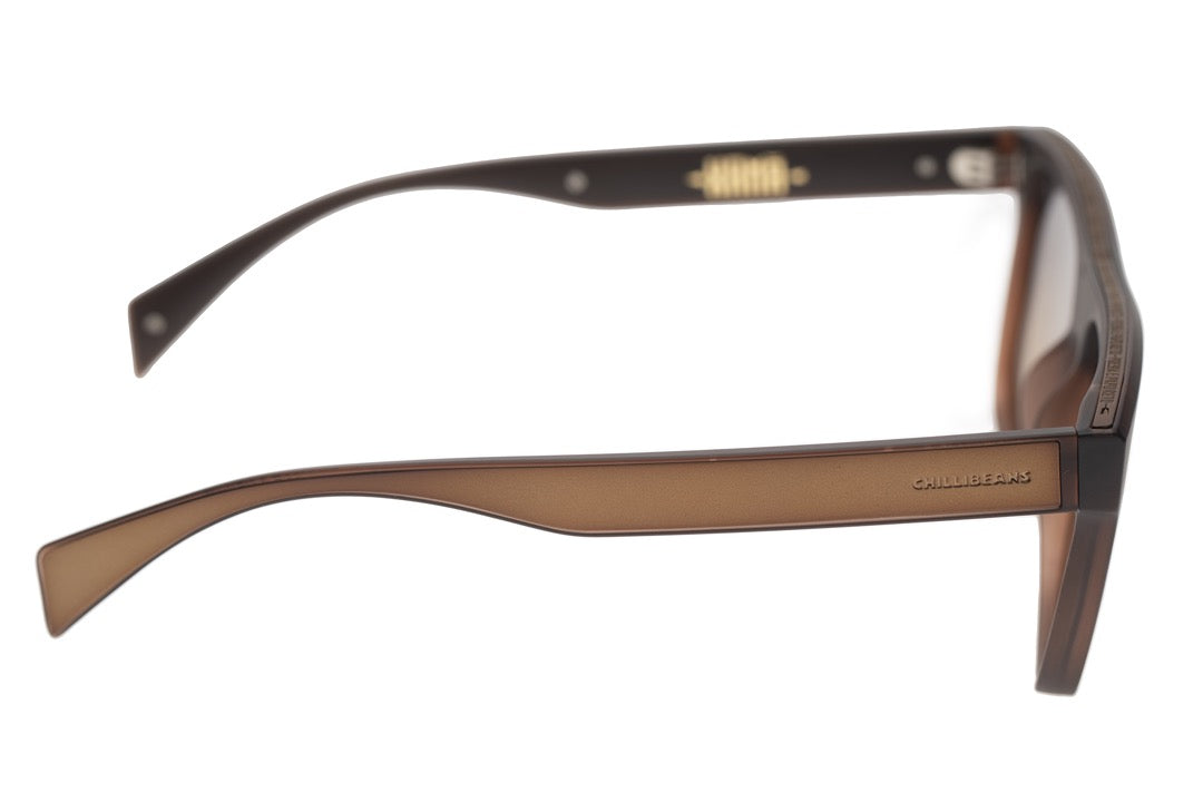 SUNGLASSES - OCCL4181
