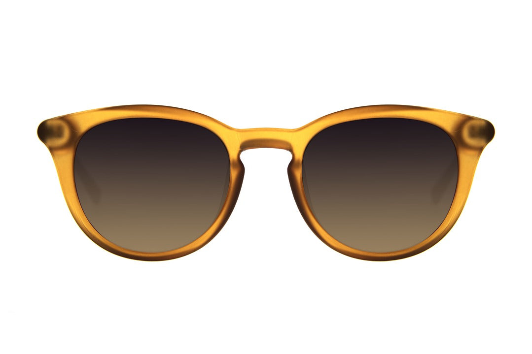SUNGLASSES - OCCL4105