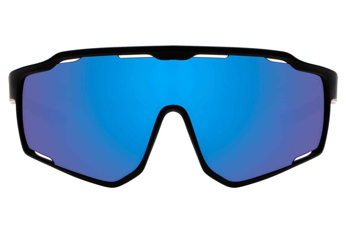 SUNGLASSES - OCES1349
