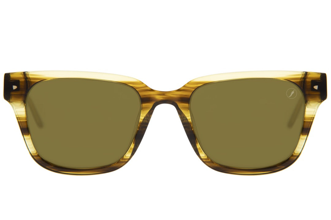 SUNGLASSES - OCCL4100