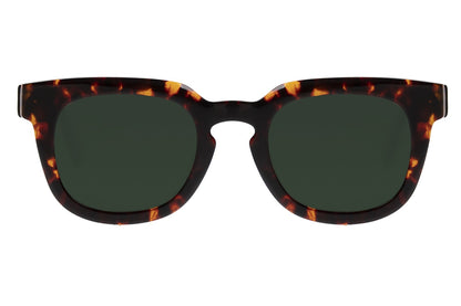 Premium Square  Sunglasses