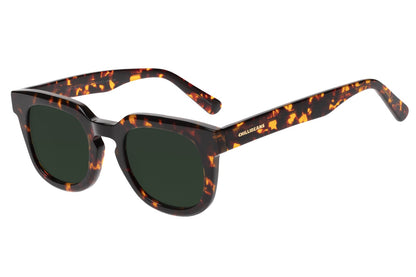 Premium Square  Sunglasses