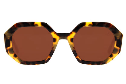 Premium Square  Sunglasses
