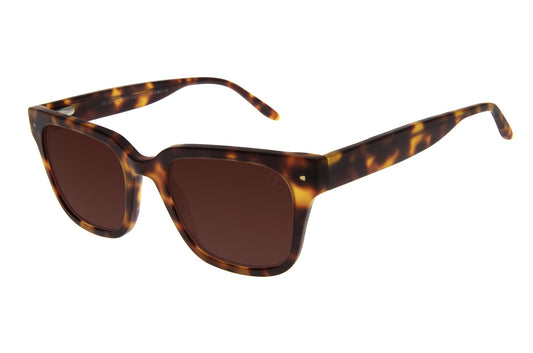 Optical Square  Sunglasses