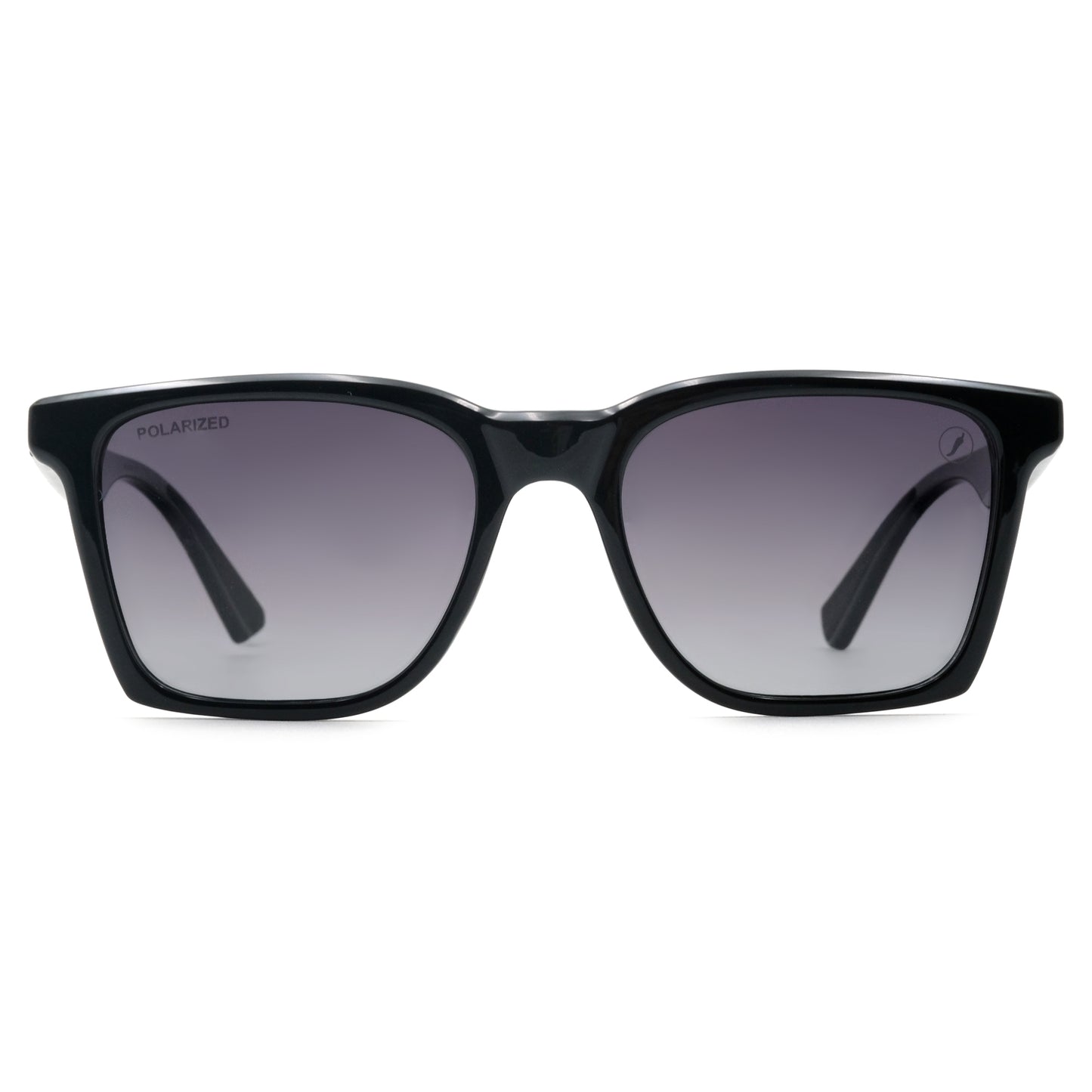 SUNGLASSES-OCCL5048