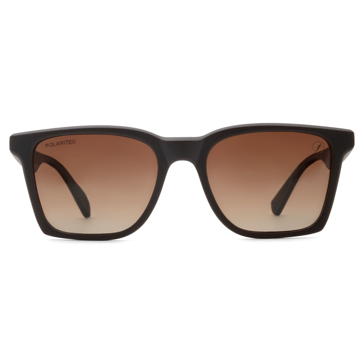 SUNGLASSES-OCCL5048