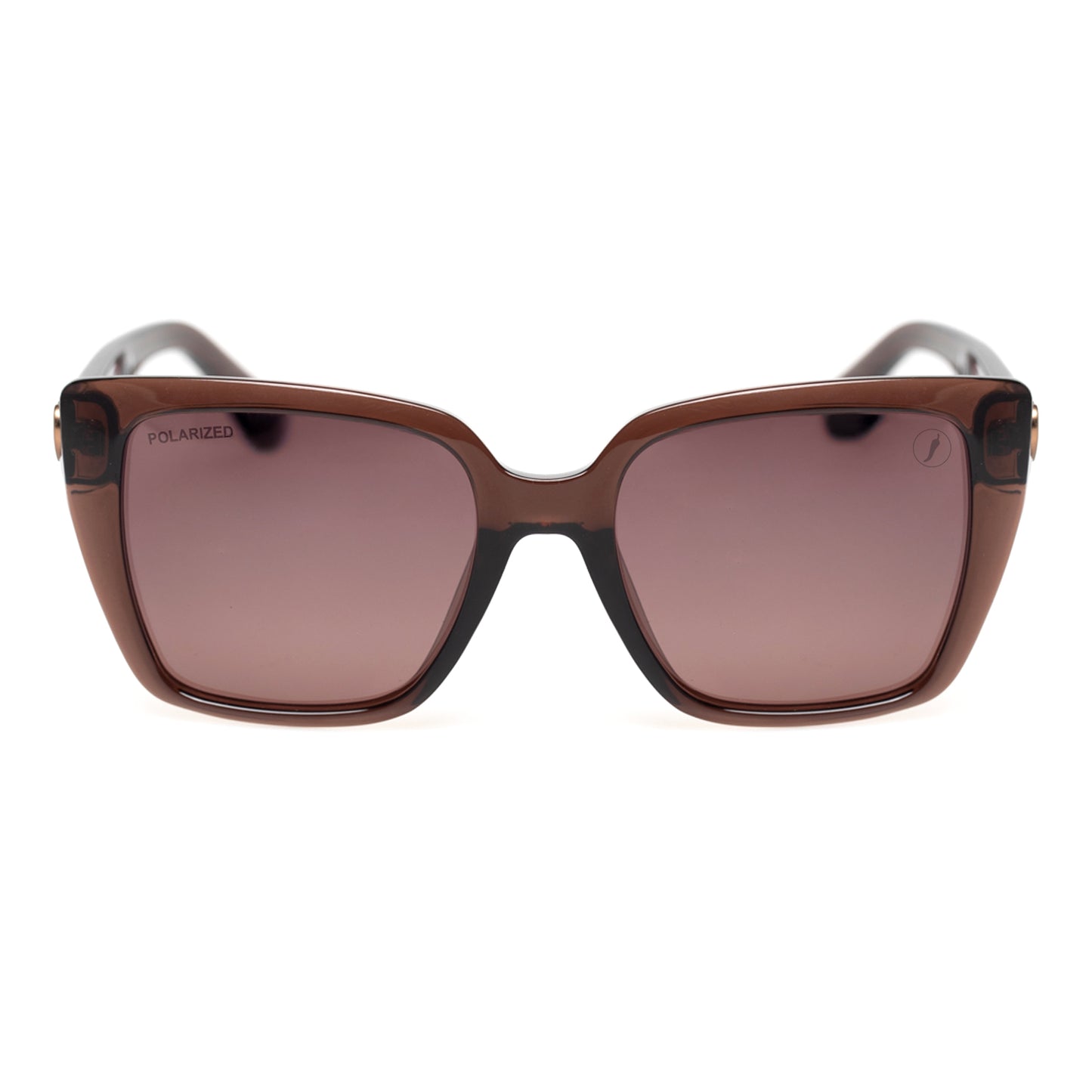 SUNGLASSES-OCCL5158