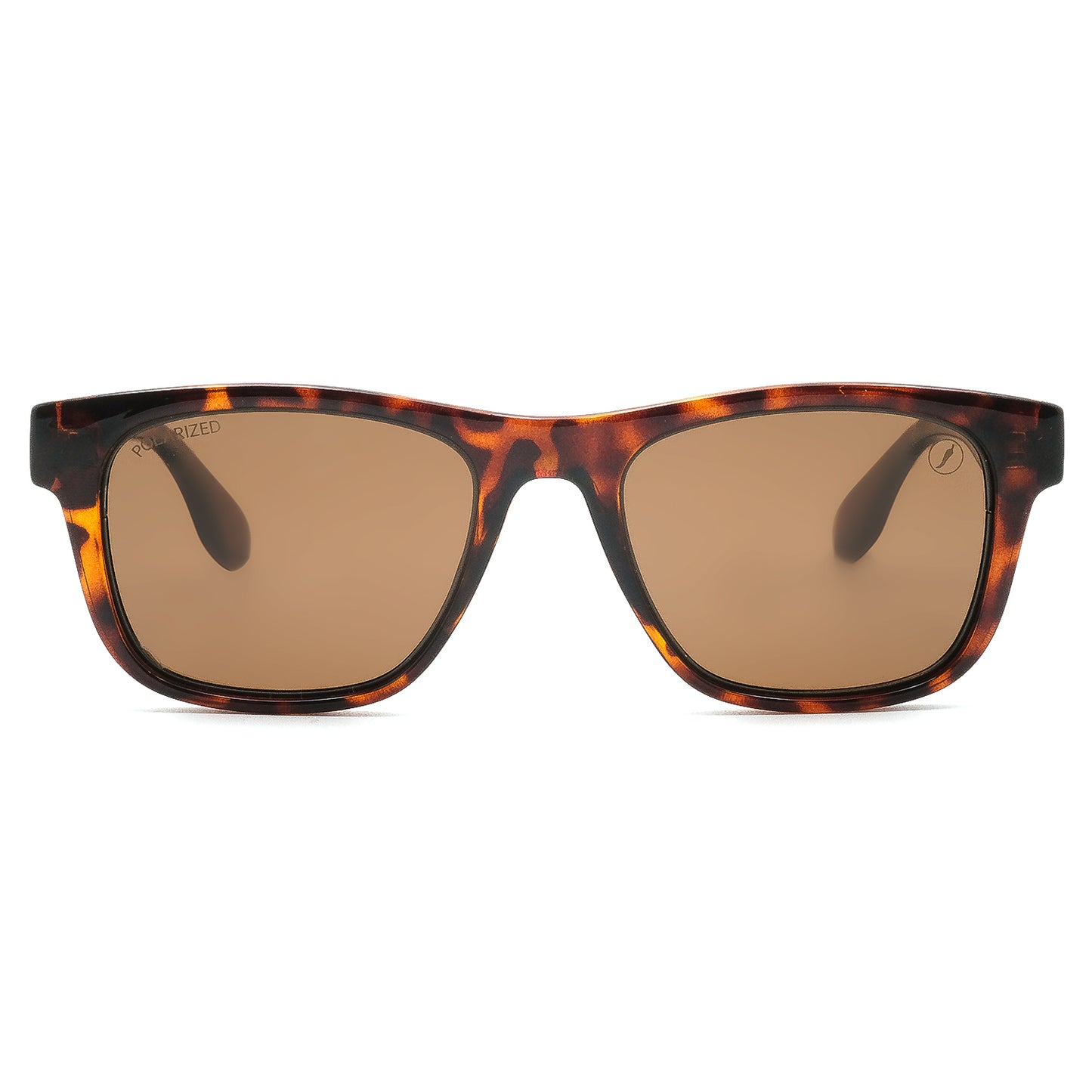 SUNGLASSES-OCCL5212