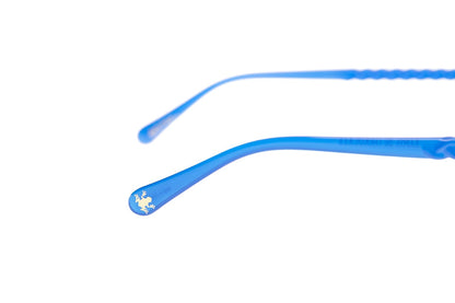 Harry Potter Seasonal Sunglasses