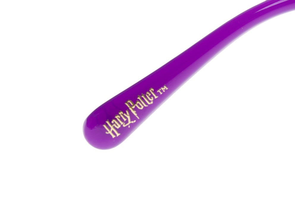 Harry Potter Seasonal Sunglasses