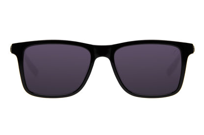SUNGLASSES-OCCL3871