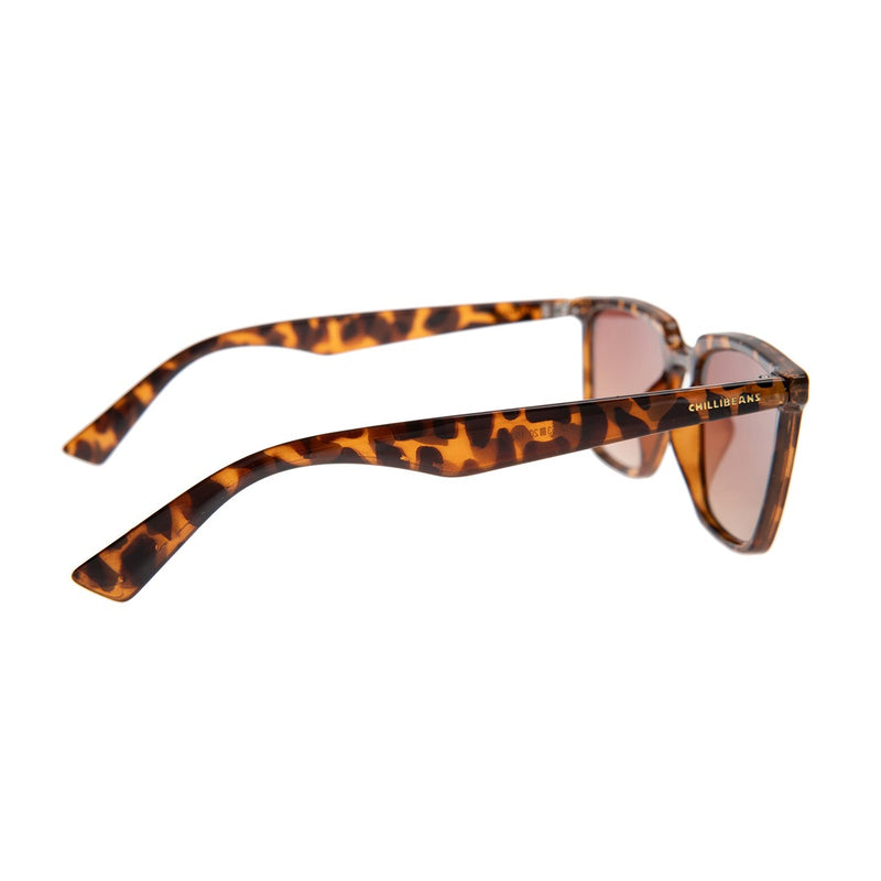 SUNGLASSES-OCCL4577