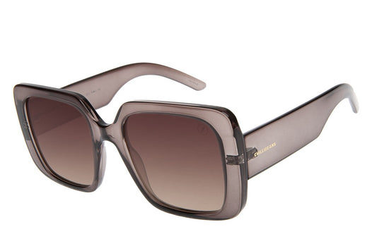 SUNGLASSES-OCCL4600