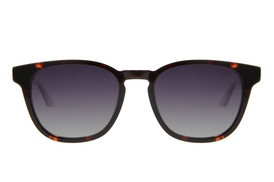SUNGLASSES-OCCL4609