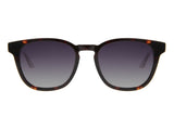 SUNGLASSES-OCCL4609