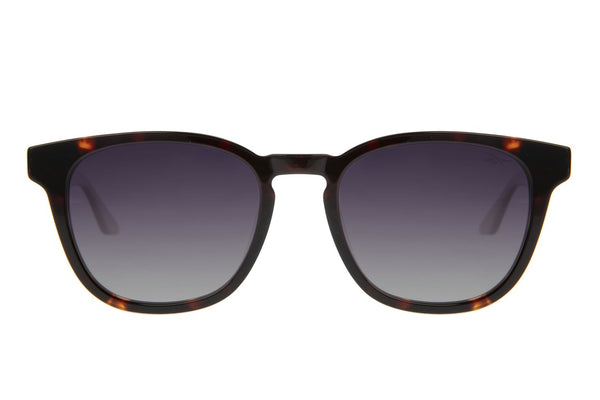 SUNGLASSES-OCCL4609