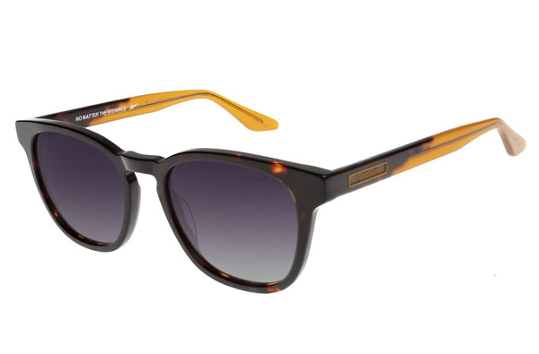 SUNGLASSES-OCCL4609
