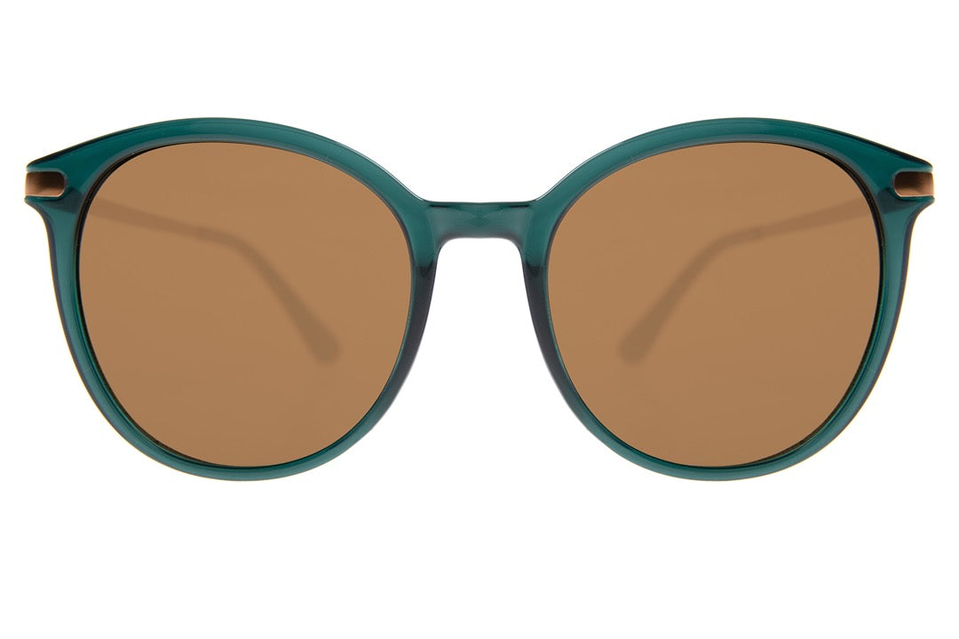 SUNGLASSES - OCCL3998