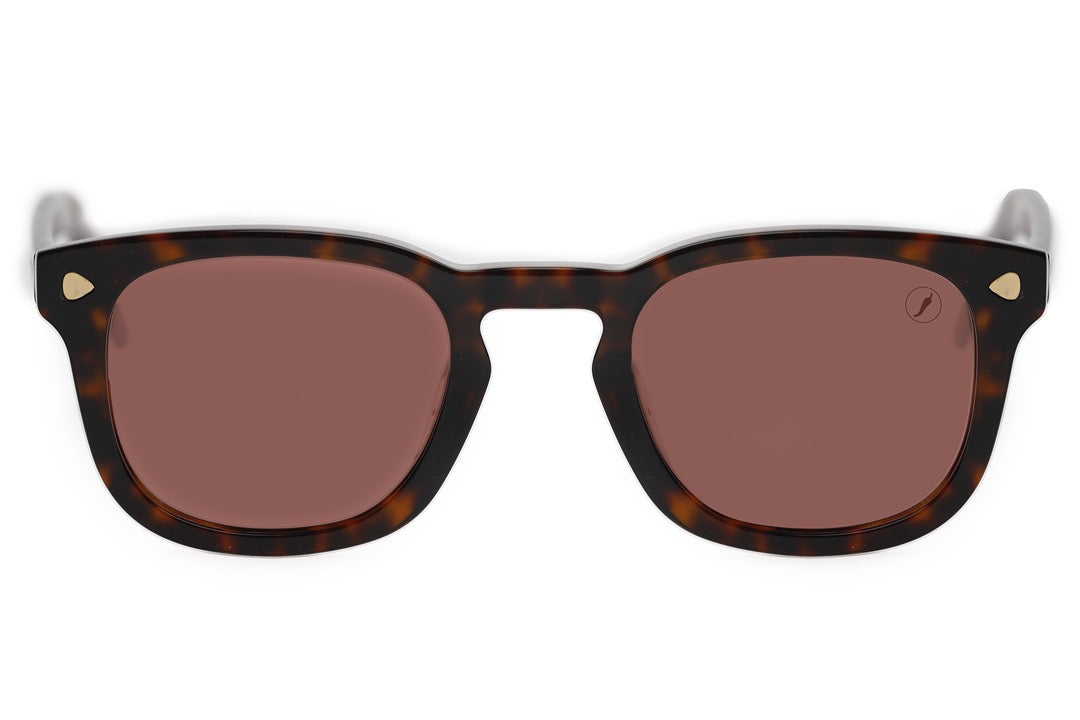 SUNGLASSES - OCCL4131