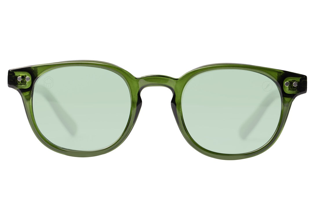 SUNGLASSES - OCCL3950