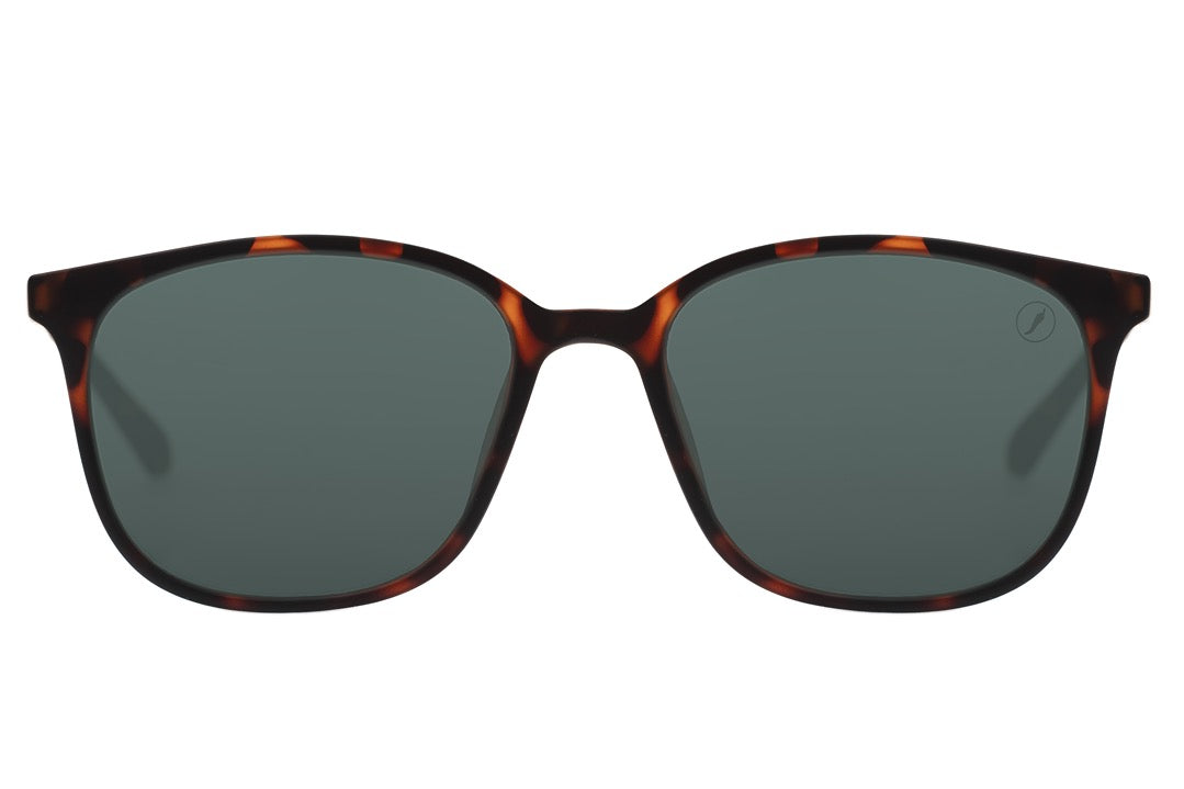 SUNGLASSES - OCCL4044
