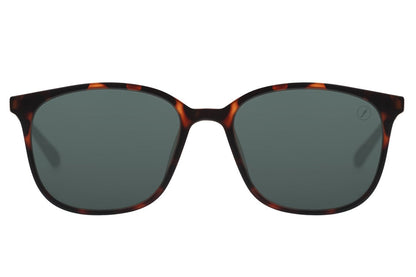 SUNGLASSES - OCCL4044