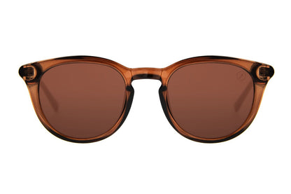 SUNGLASSES - OCCL4105