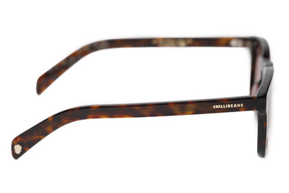 SUNGLASSES - OCCL4131