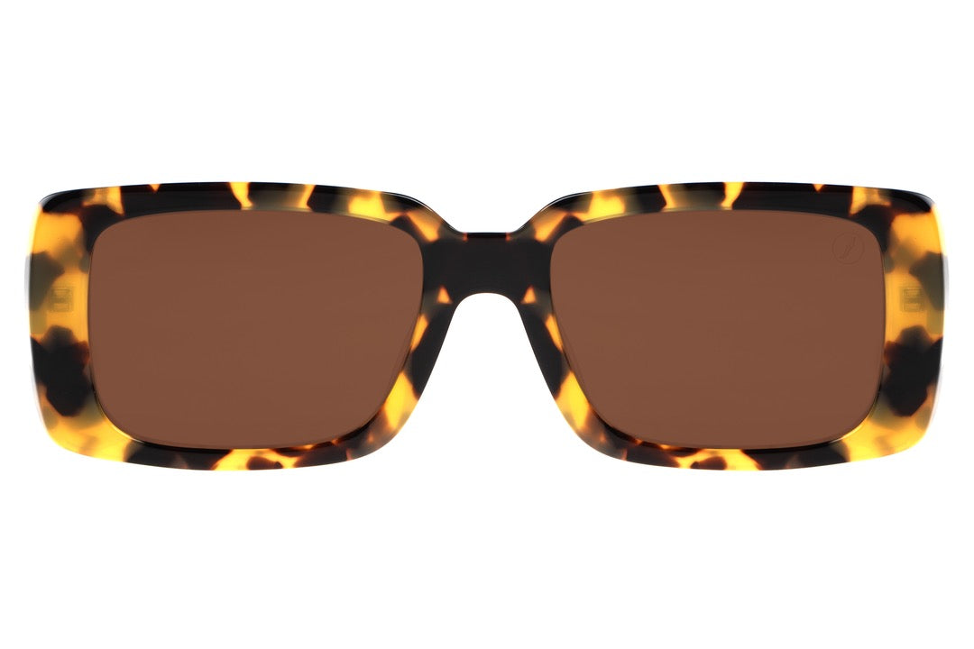 SUNGLASSES - OCCL3814