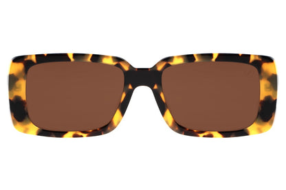 SUNGLASSES - OCCL3814