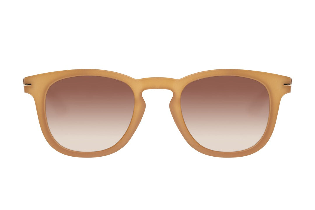 SUNGLASSES - OCCL4119