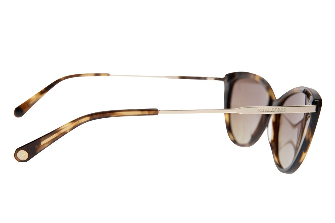 SUNGLASSES - OCCL4253