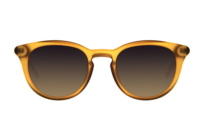 SUNGLASSES - OCCL4105