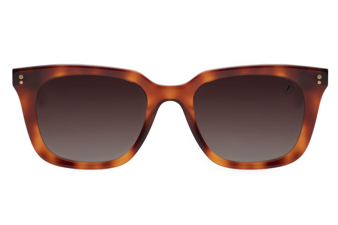 SUNGLASSES - OCCL4106