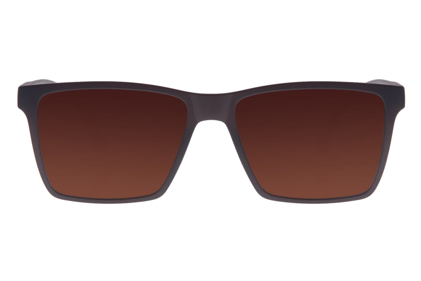 SUNGLASSES-OCCL3449