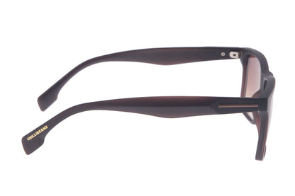 SUNGLASSES-OCCL3449