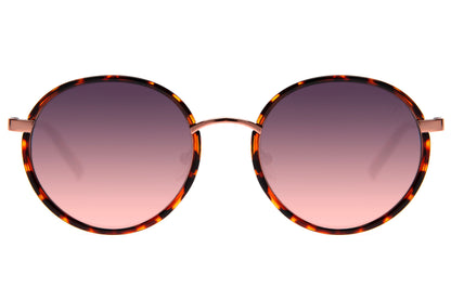 SUNGLASSES - OCCL3529