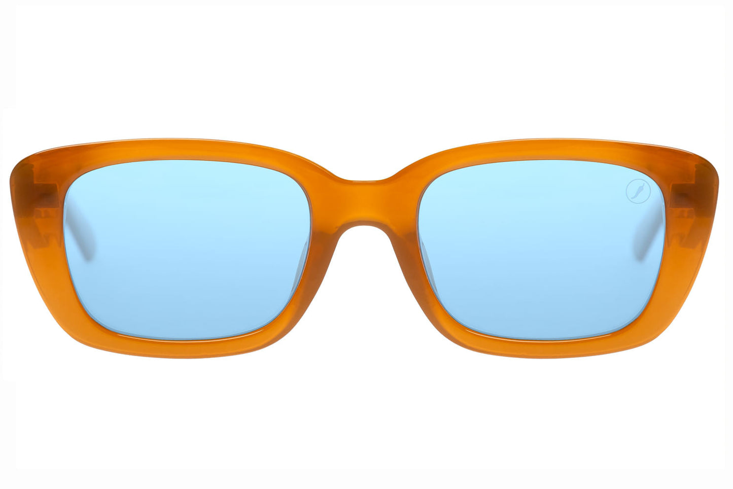 SUNGLASSES-OCCL3968