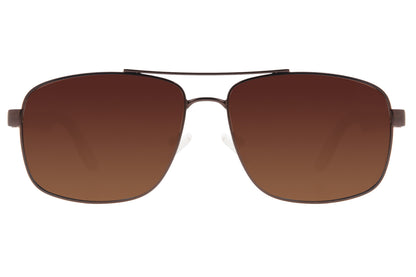 Chilli Beans Executive Sunglasses - Chilli Beans Australia