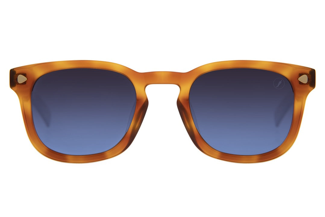 SUNGLASSES - OCCL4131