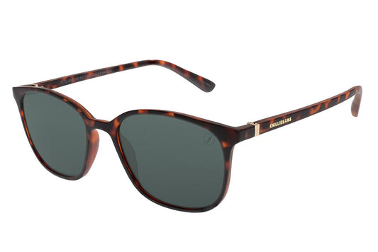 SUNGLASSES - OCCL4044