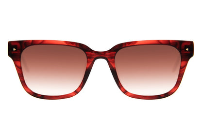 SUNGLASSES - OCCL4100