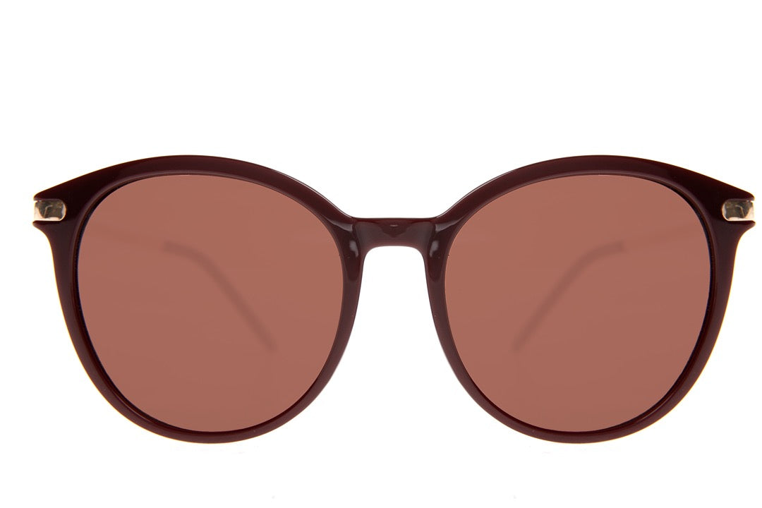 SUNGLASSES - OCCL3998
