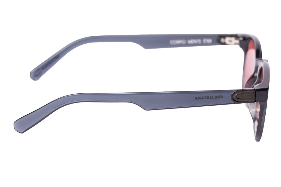 SUNGLASSES - OCCL3950