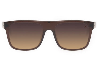 SUNGLASSES - OCCL4181