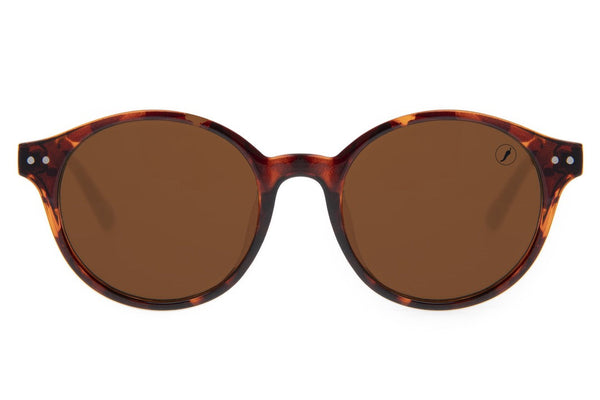 SUNGLASSES - OCCL3987